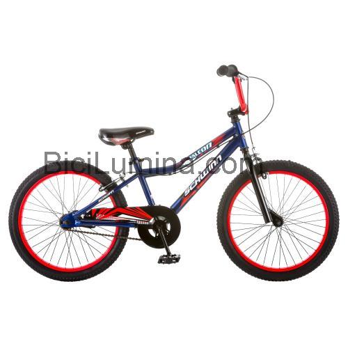 Schwinn Falcon ficha técnica y opiniones